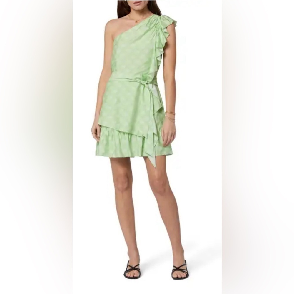 NWT Joie‎ Size 8 Nerea Paisley One-Shoulder Dress Quiet Green and Porcelain